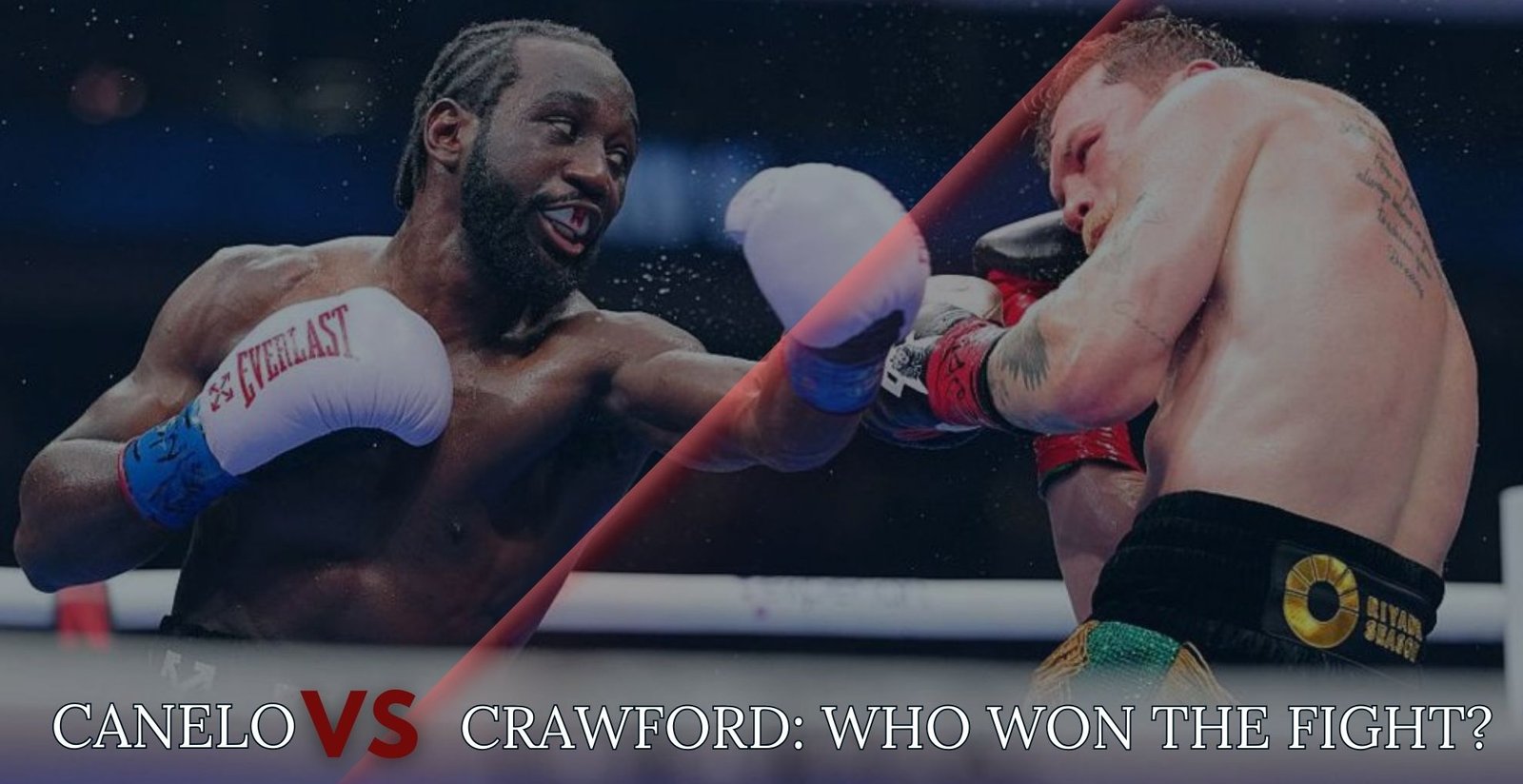 bingoplus99-canelovscrawford-imagebanner